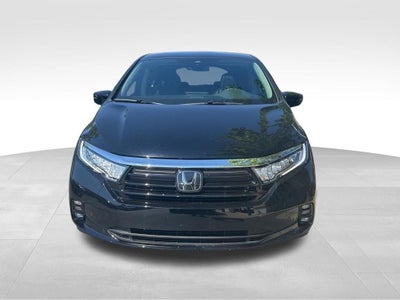 2024 Honda Odyssey Elite