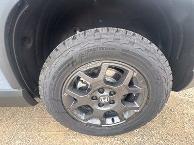 2026 Honda Pilot TrailSport