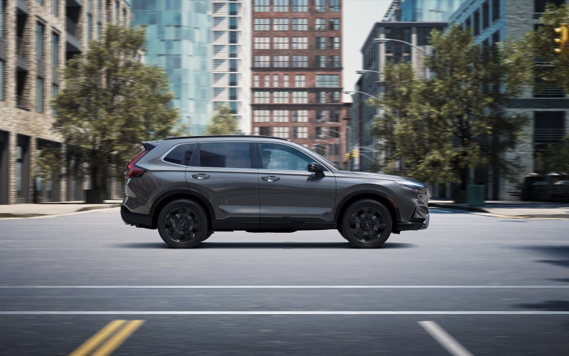 Agencia de Habla Hispana Cerca de Mí