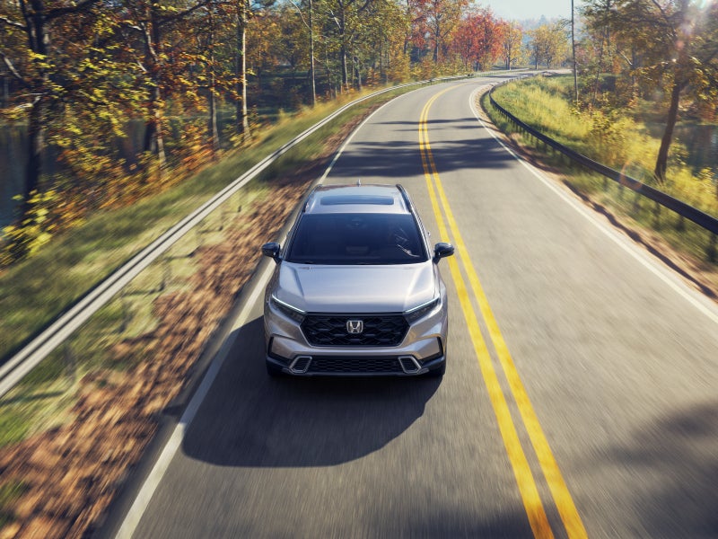 Agencia de Habla Hispana Cerca de Mí