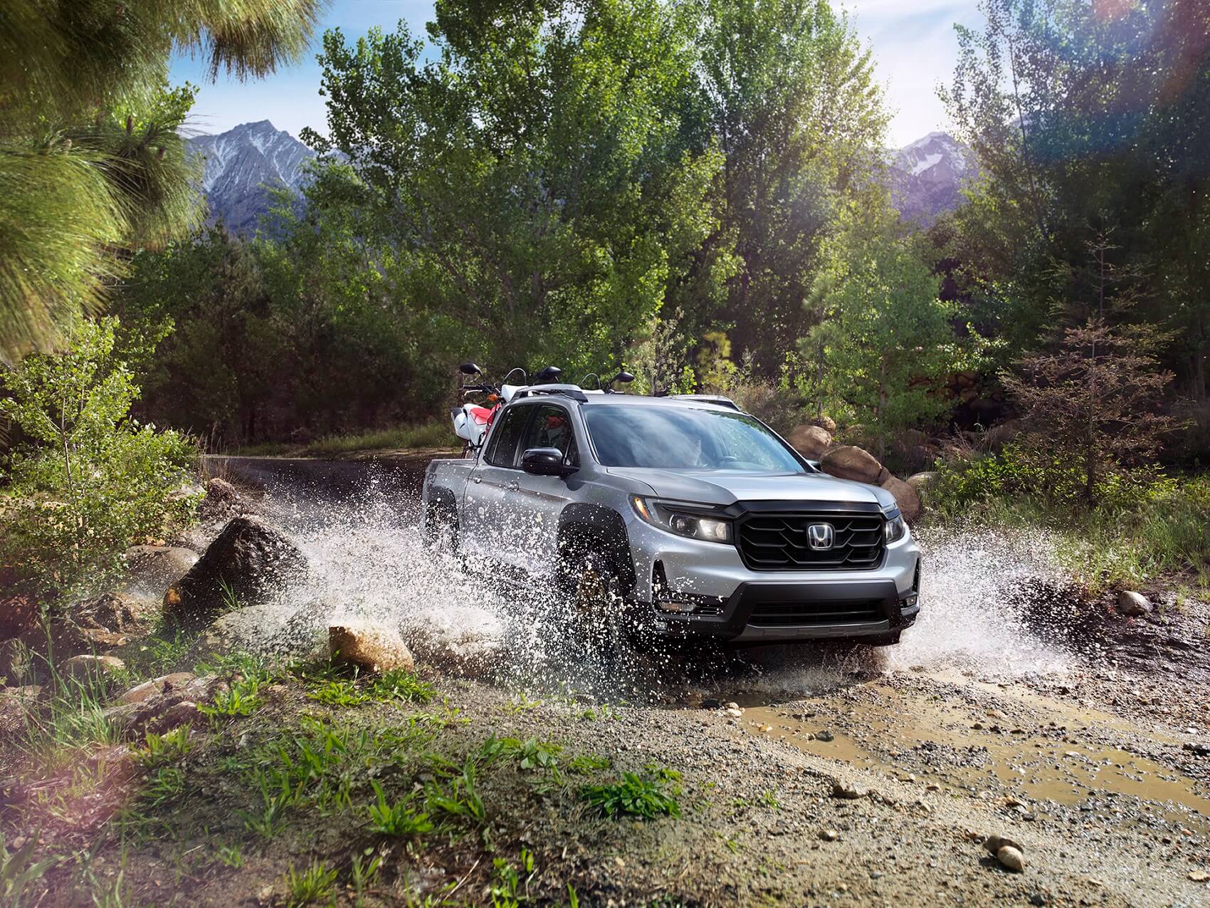 Engaged in the Journey