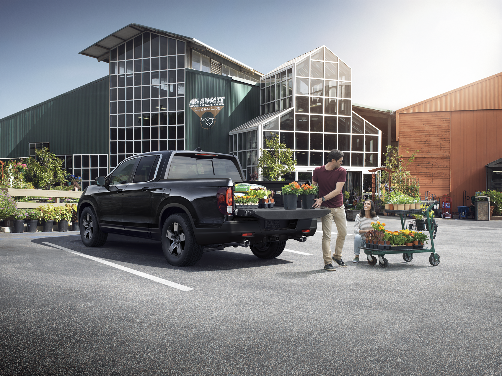 About Our New Honda Cars 